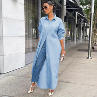 Long Sleeve  Maxi  Blouse