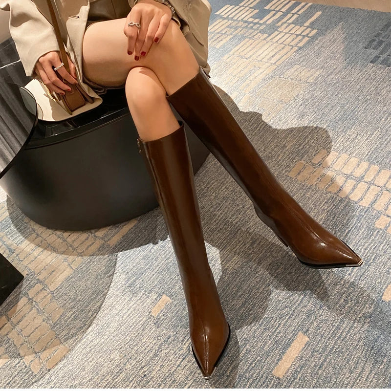 Pointed Toe Women High Boots